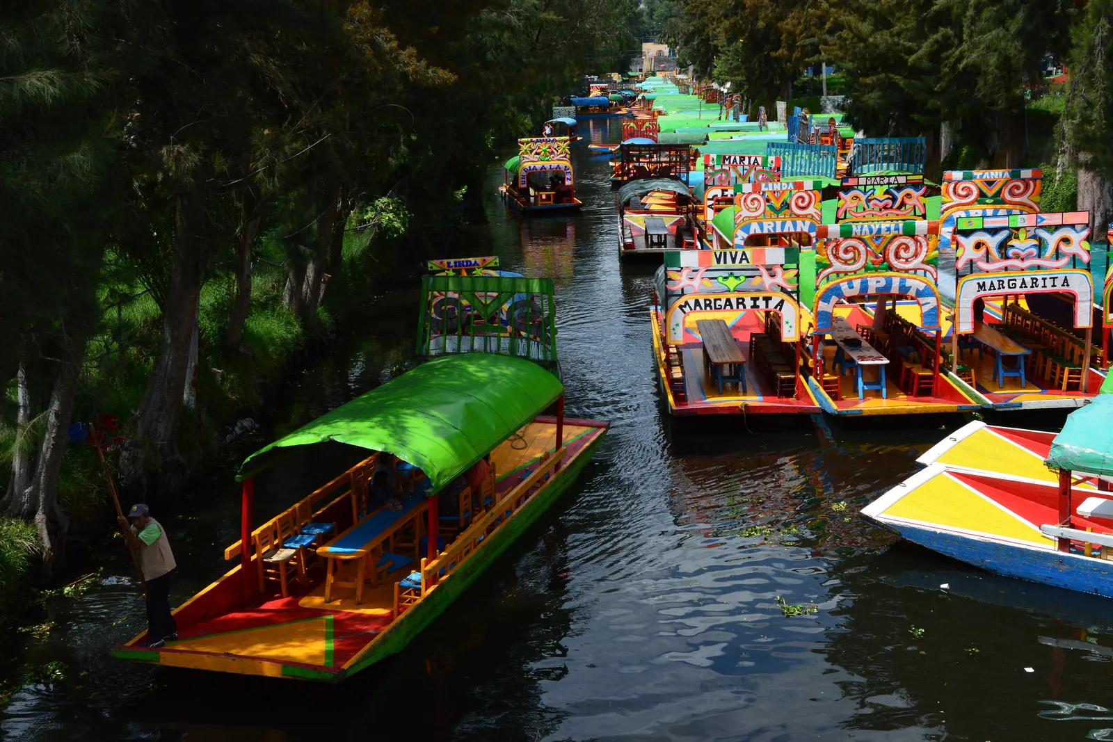 A green-canopied trajinera on a Xochimilco canal, with rows of painted boats moored further along and trees on both banks